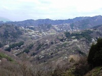 e0151758_19155560.jpg