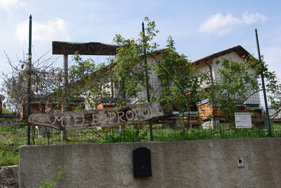 c0161459_4454252.jpg