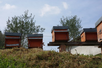 c0161459_5411070.jpg