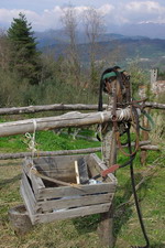 c0161459_60417.jpg