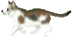 c0119160_22105636.gif