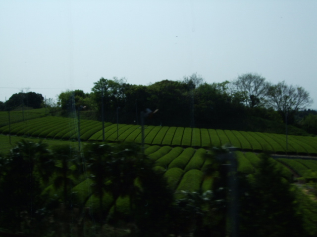 f0203260_00834.jpg
