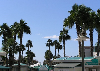 b0145863_22155279.jpg