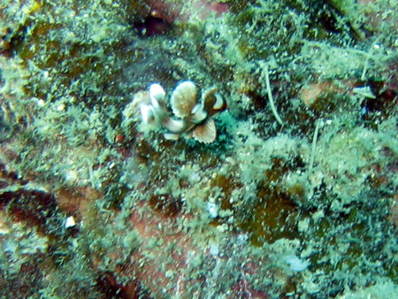 a0002177_22155211.jpg