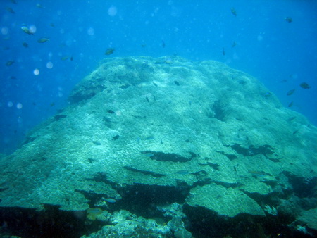 a0002177_2224819.jpg