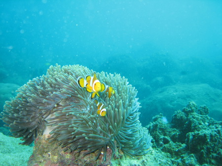 a0002177_2235111.jpg
