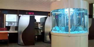 e0058280_5483672.jpg