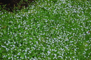 d0129786_15273325.jpg