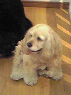 a0077891_23392962.jpg