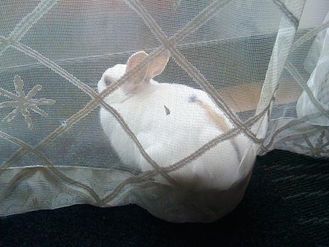 f0201191_12383329.jpg