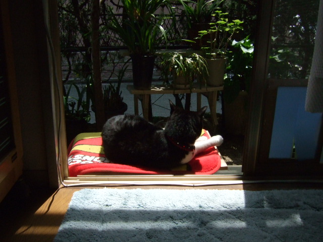 c0150193_169859.jpg