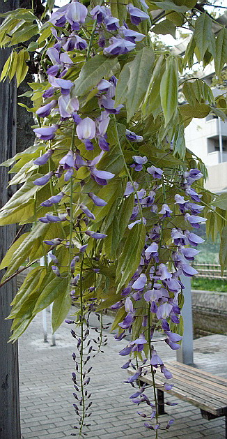 c0138198_15235463.jpg
