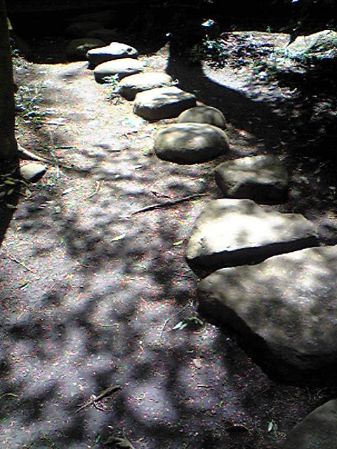 c0075299_1731830.jpg