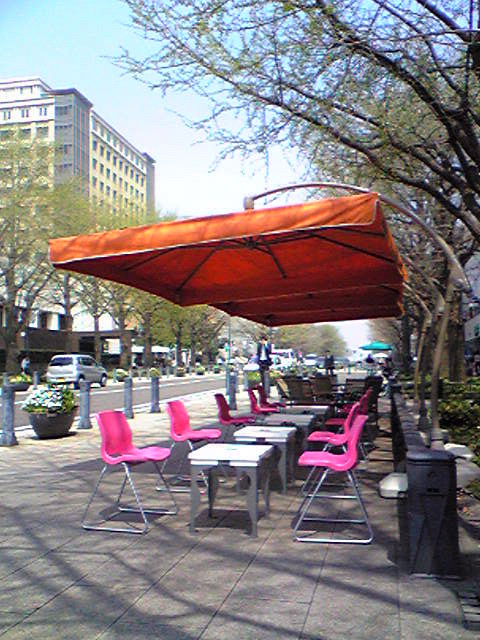 c0075299_17528.jpg