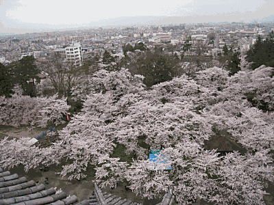 d0046702_11275484.jpg