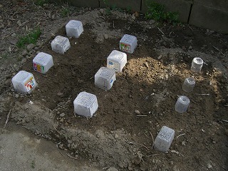 c0076204_1654425.jpg