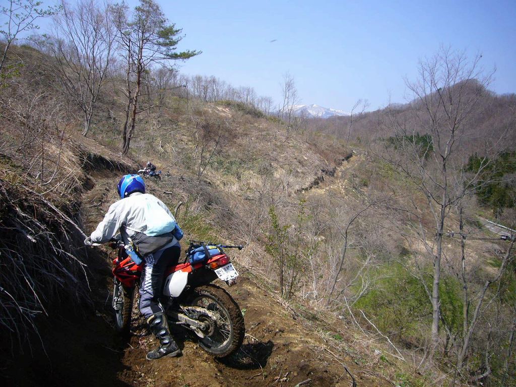 b0050305_17423888.jpg