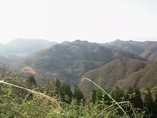 c0126205_1749723.jpg