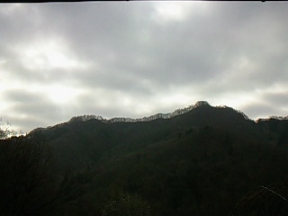 c0126205_1749740.jpg