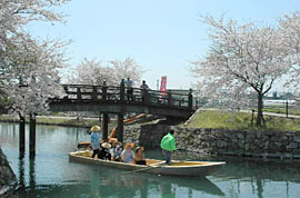 e0093407_15979.jpg