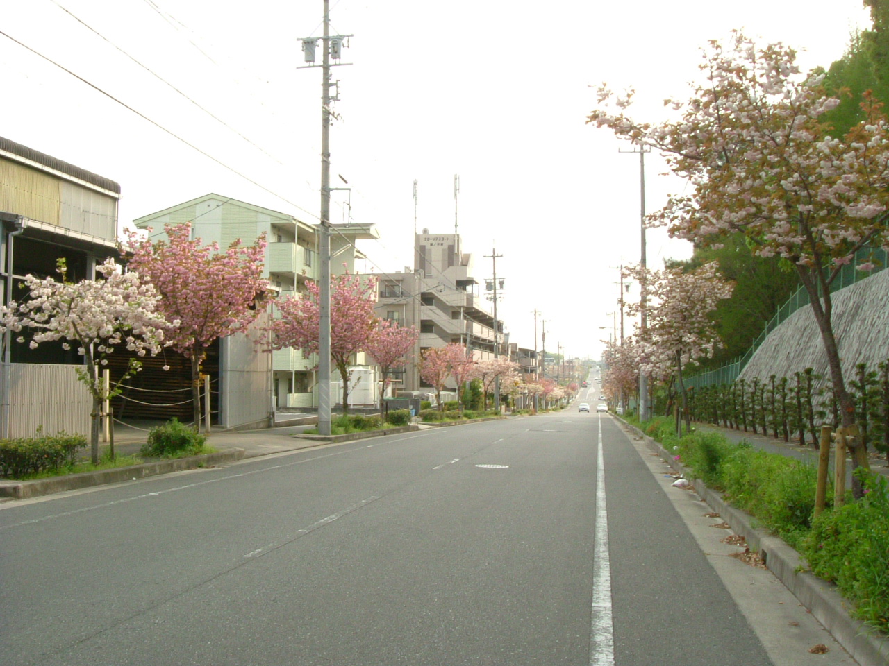 b0147710_1535235.jpg