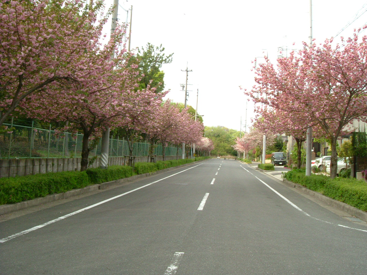 b0147710_154399.jpg