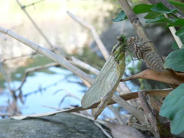 e0002314_17593645.jpg