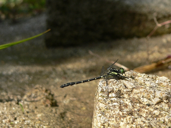 e0002314_18211398.jpg