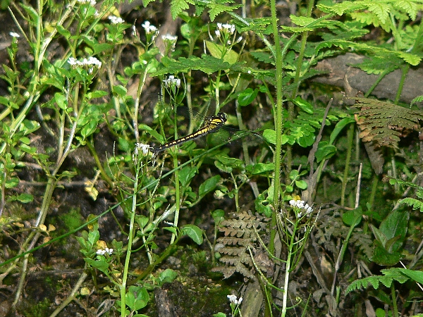 e0002314_18213222.jpg