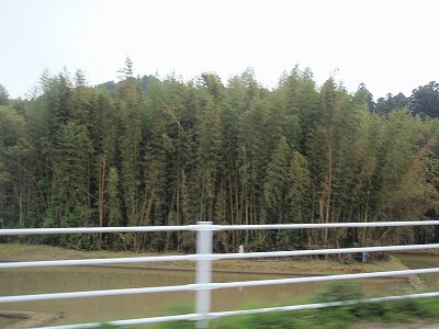 c0145016_21255177.jpg