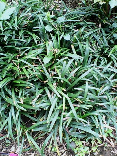 c0145016_22571526.jpg