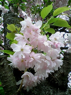 c0145016_2258074.jpg