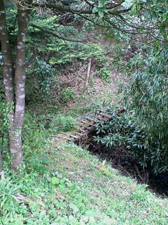 c0145016_22581662.jpg