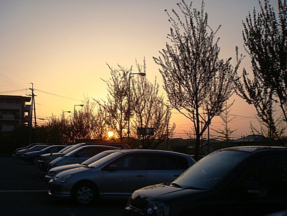 b0068423_223977.jpg