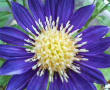 f0036223_9244895.jpg