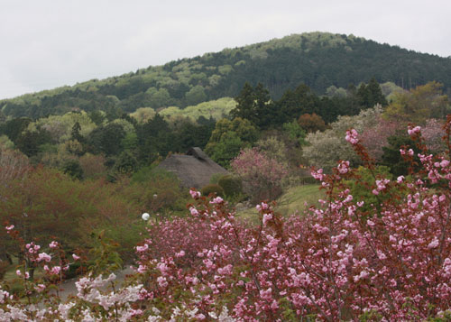 f0147025_23112681.jpg