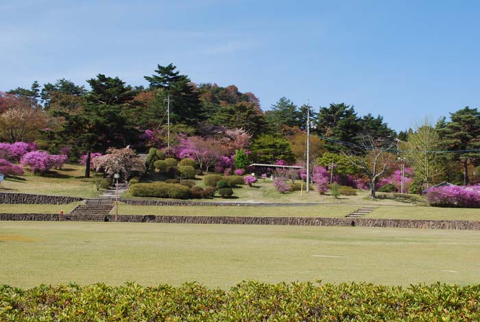 d0029829_1431660.jpg