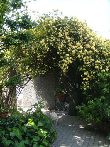 e0134032_20103977.jpg