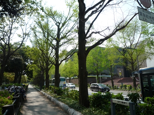 d0037233_1443541.jpg