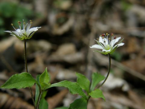 e0145033_22543799.jpg