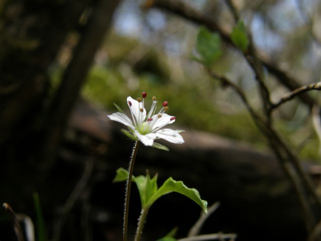 e0145033_2341379.jpg