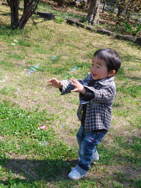 d0077035_0433946.jpg