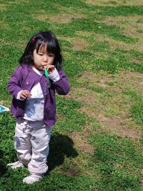 d0077035_0474873.jpg