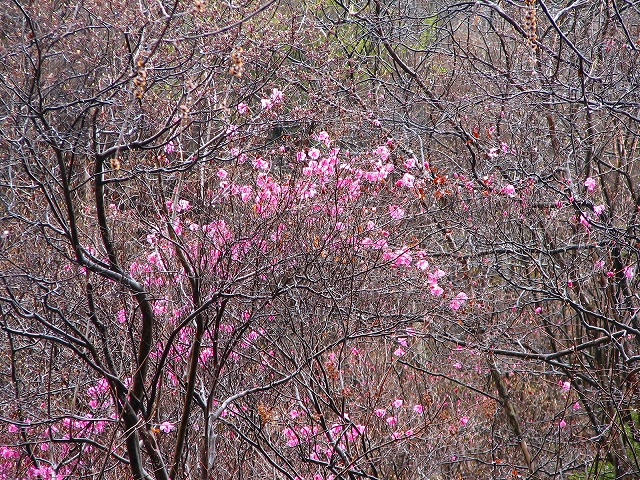 b0097836_22322793.jpg