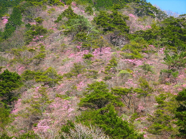 b0097836_23522769.jpg