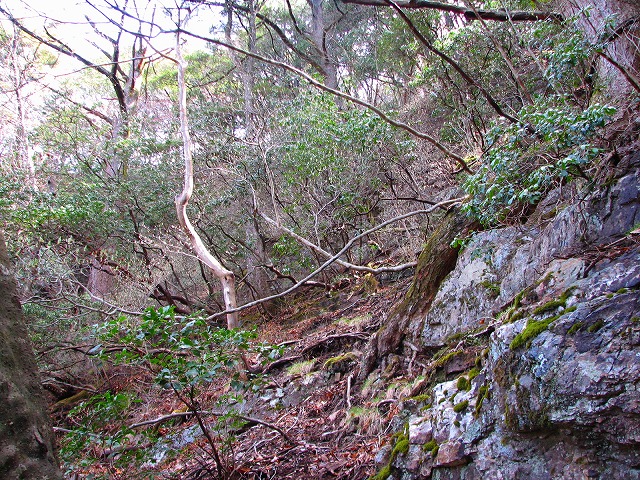 b0097836_23533418.jpg