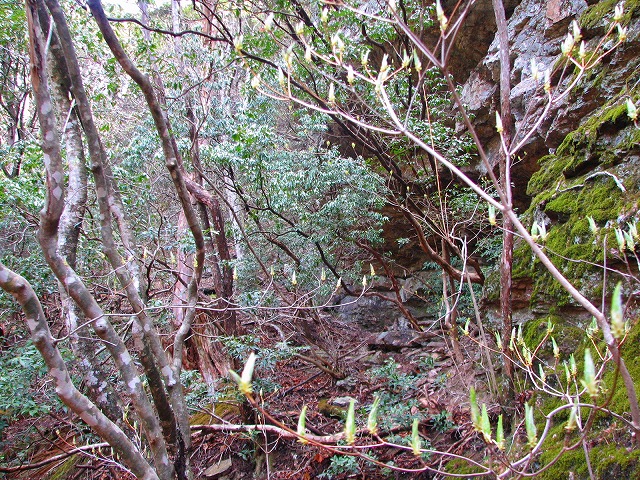 b0097836_23541720.jpg