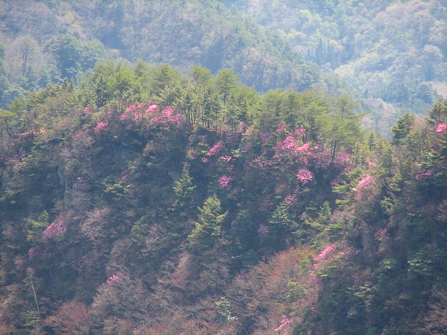 b0097836_2356728.jpg