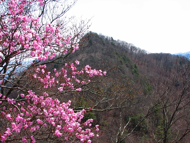 b0097836_2359343.jpg