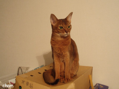 c0132438_22444910.jpg